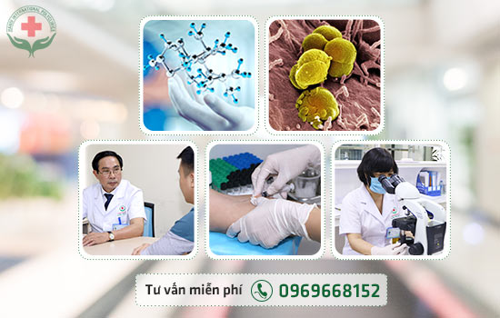 điều trị bệnh lậu bằng công nghệ DNA điều trị bệnh lậu bằng công nghệ DNA